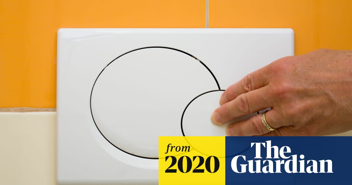 Dual-flush toilets 'wasting more water than they save'
