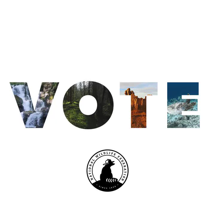 Each ballot cast in an election can have lasting impact on our nation’s health, environment, and frontline communities. Today is your last day to vote. Make a plan to get to the polls safely: