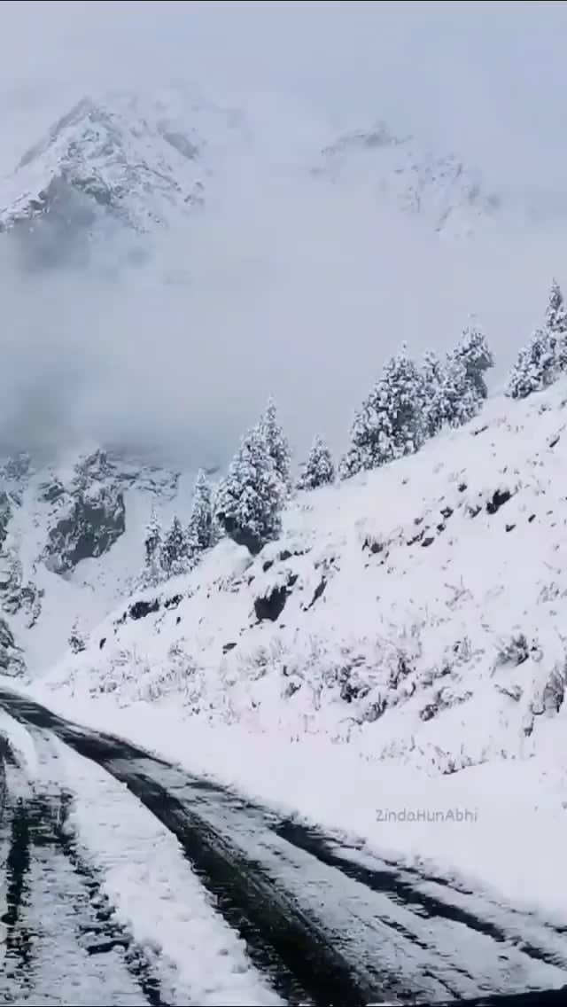 Welcome to the Himalayas! (India)