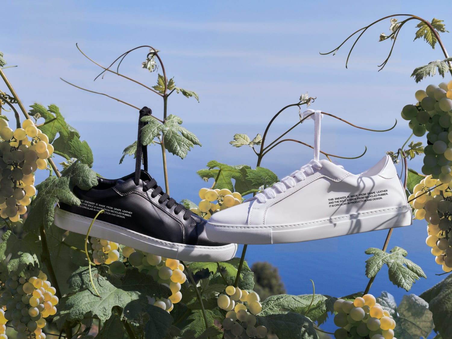 Pangaia Just Launched Sustainable, Eco-Friendly Sneakers Made of Grape Leather