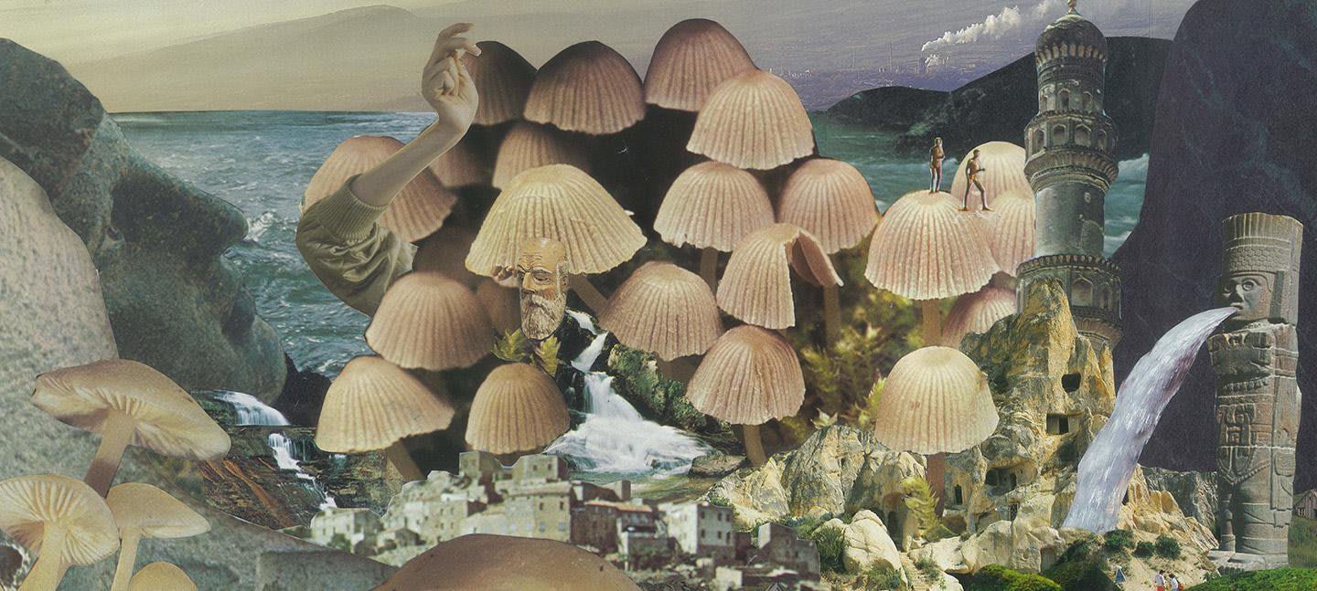 Get a Taste for Mushroom Art at This New, Fungus-Forward Exhibition