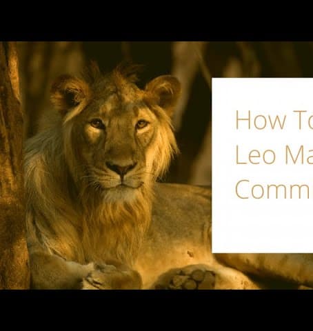 How To Get A Leo Man To Commit - Make Him Chase You