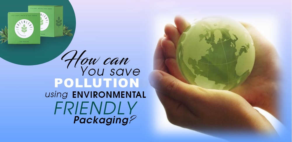 HOW CAN YOU SAVE POLLUTION USING ENVIRONMENTAL-FRIENDLY PACKAGING?