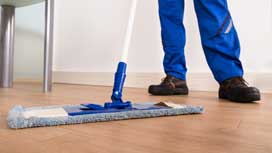 Hardwood vs Laminate Flooring Cleaning