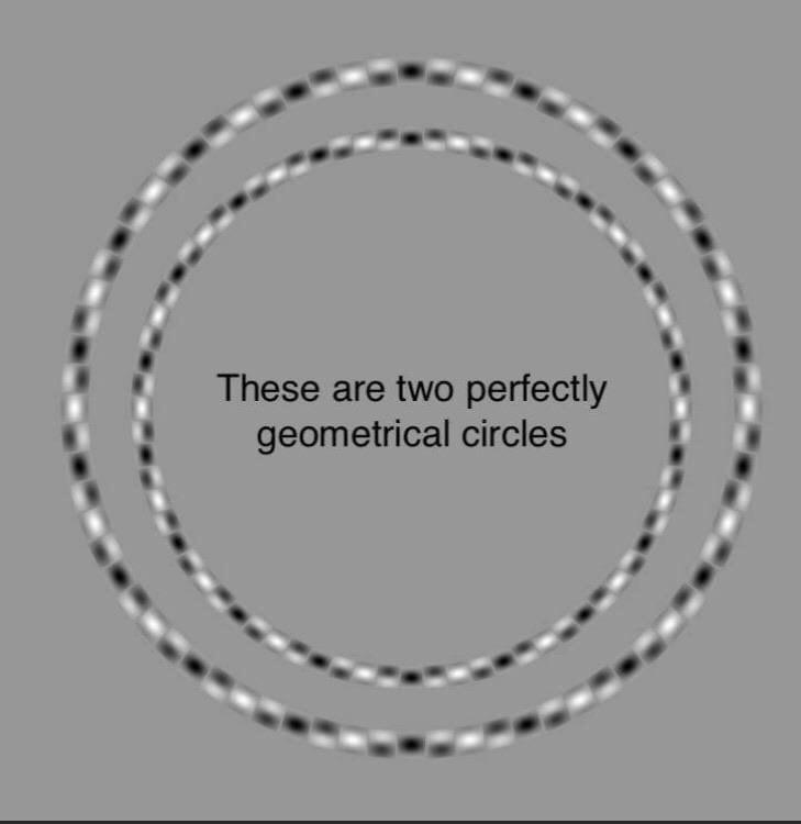 These are two perfectly geometrical circles