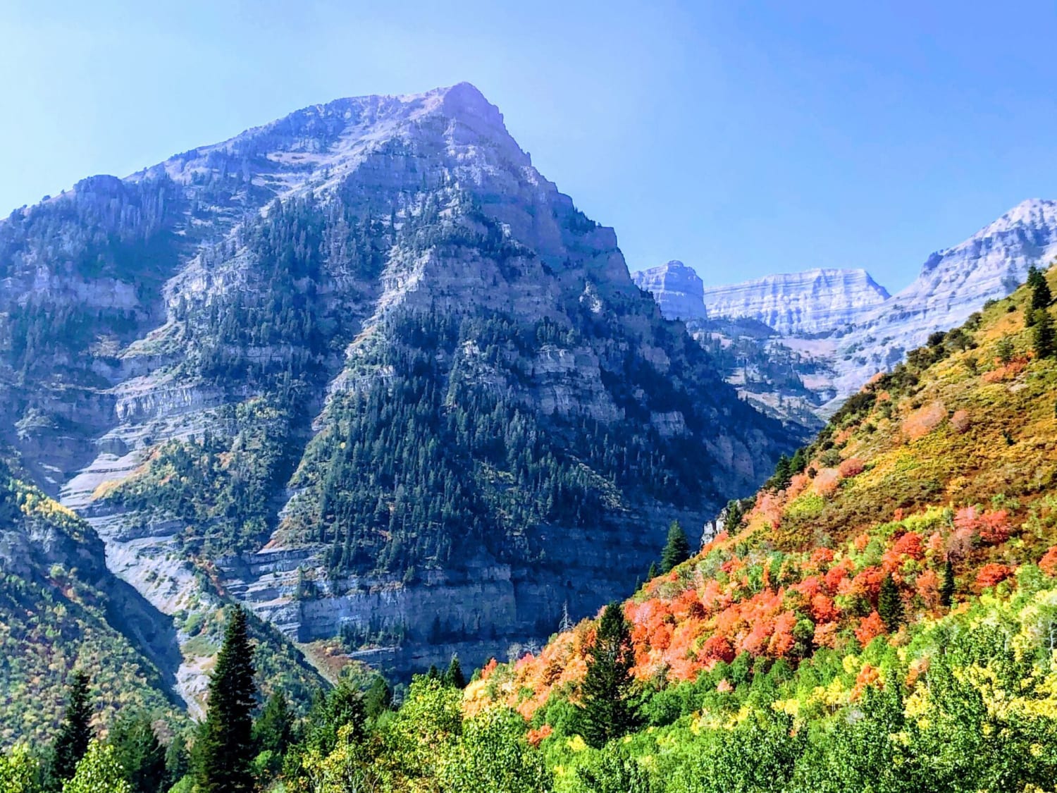 Where to see fall colors in Utah