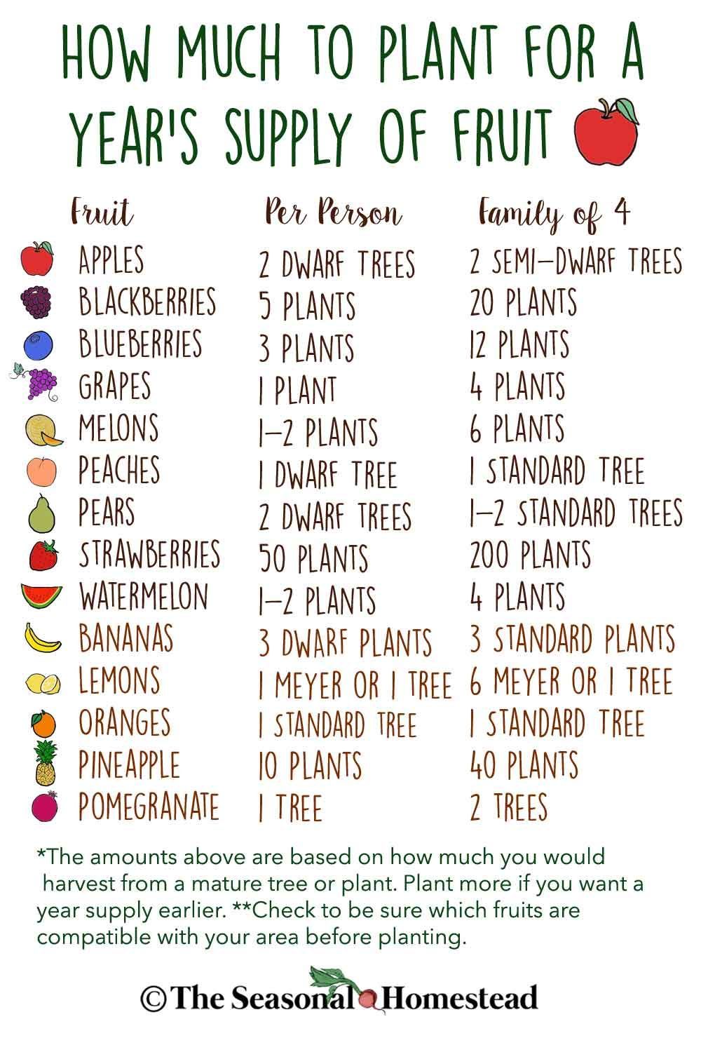 How Much to Plant for a Year's Supply of Fruit. Self-Sufficiency for a Year's Supply of Food.