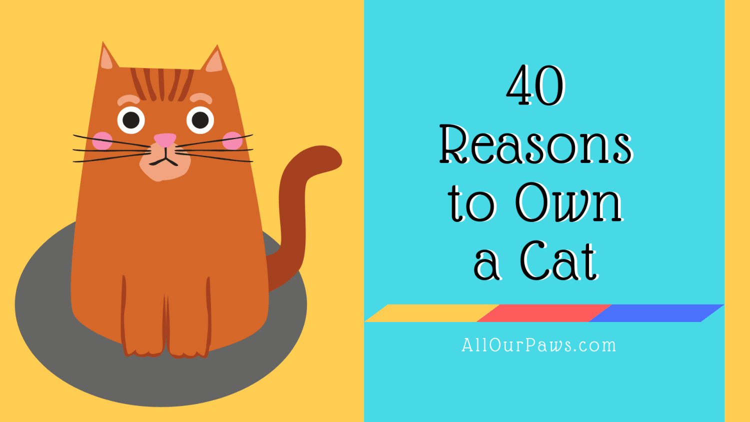40 Reasons to Own a Cat