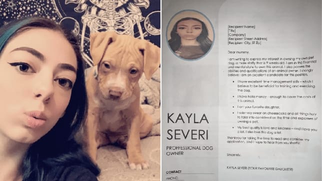A Teen Wrote CV to Approach her Mom to Get Her Puppy this Christmas