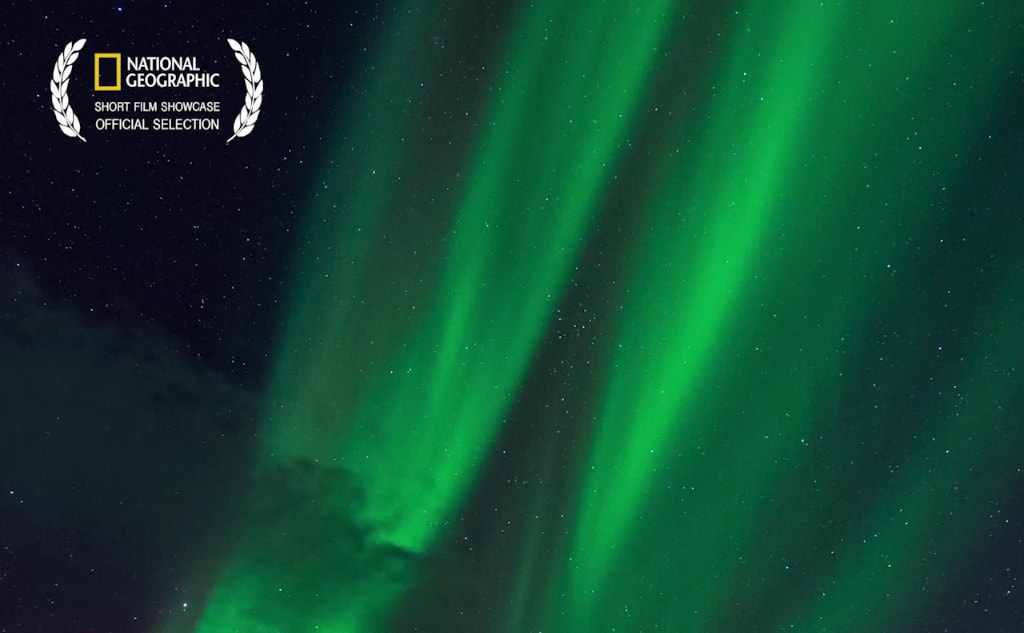 Watch a brilliant time-lapse of Alaska's northern lights. [Video] | Alaska northern lights, Northern lights, Aurora borealis northern lights