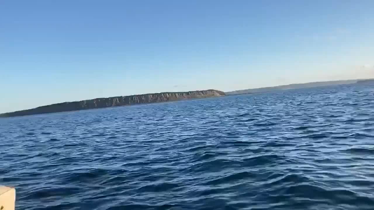 Two humpback whales interrupt a fishing trip in Conception Bay on the coast of Newfoundland, Canada (video taken by Sean Russell)