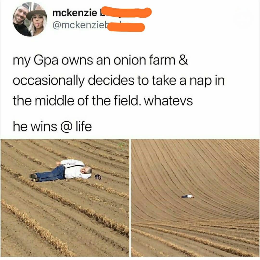 Grandpa and his Onion field.