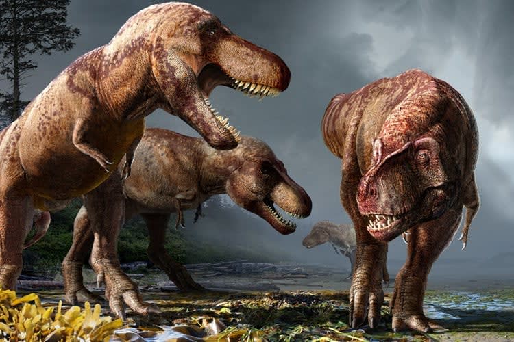 Scientists estimate the total number of T. rex to ever live: 2.5 billion, with 20,000 alive at any one time. This suggests an individual T. rex's odds of becoming a fossil were about 1 in 80 million.