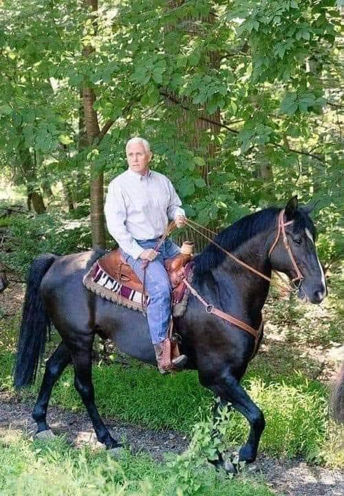 PsBattle: Pence on a horse