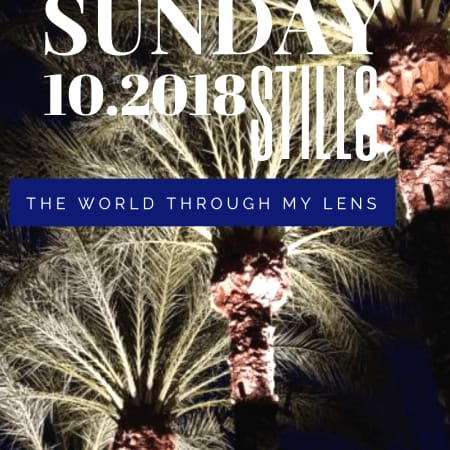 The World Through My Lens, 10.14.2018 - Once Upon a Time & Happily Ever After