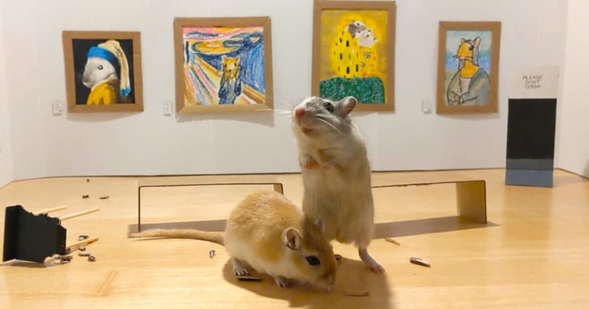 Bored Couple in Quarantine Builds a Tiny Art Museum for Their Pet Gerbils