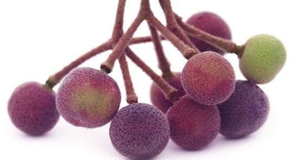 Health and Nutritional Benefits of Falsa Fruit