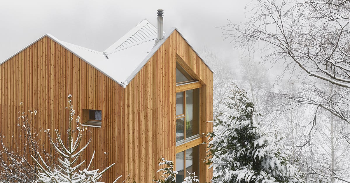 timber clads interior and exterior of davide macullo architect's swisshouse XXXV