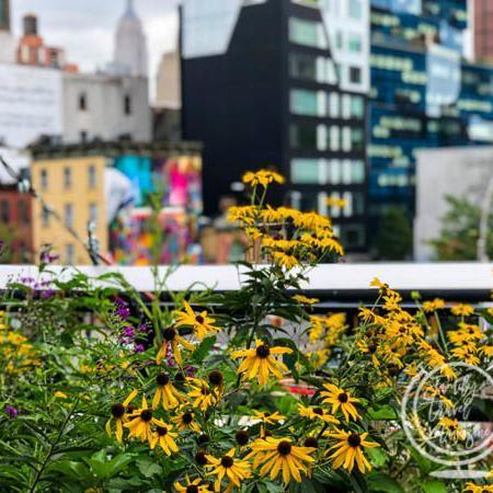 Tips for Visiting The High Line NYC With Kids - Family Travel Magazine