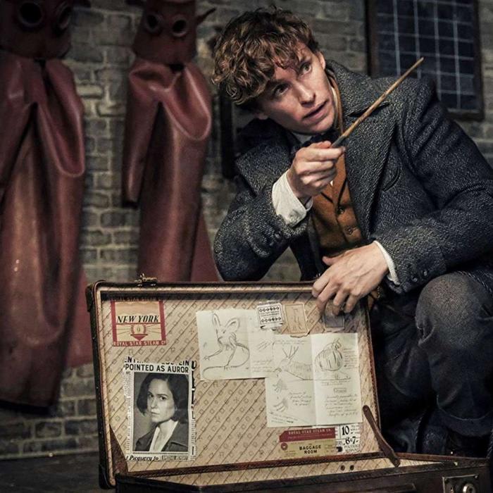 The One Harry Potter Character Eddie Redmayne Wants to See in Fantastic Beasts 3