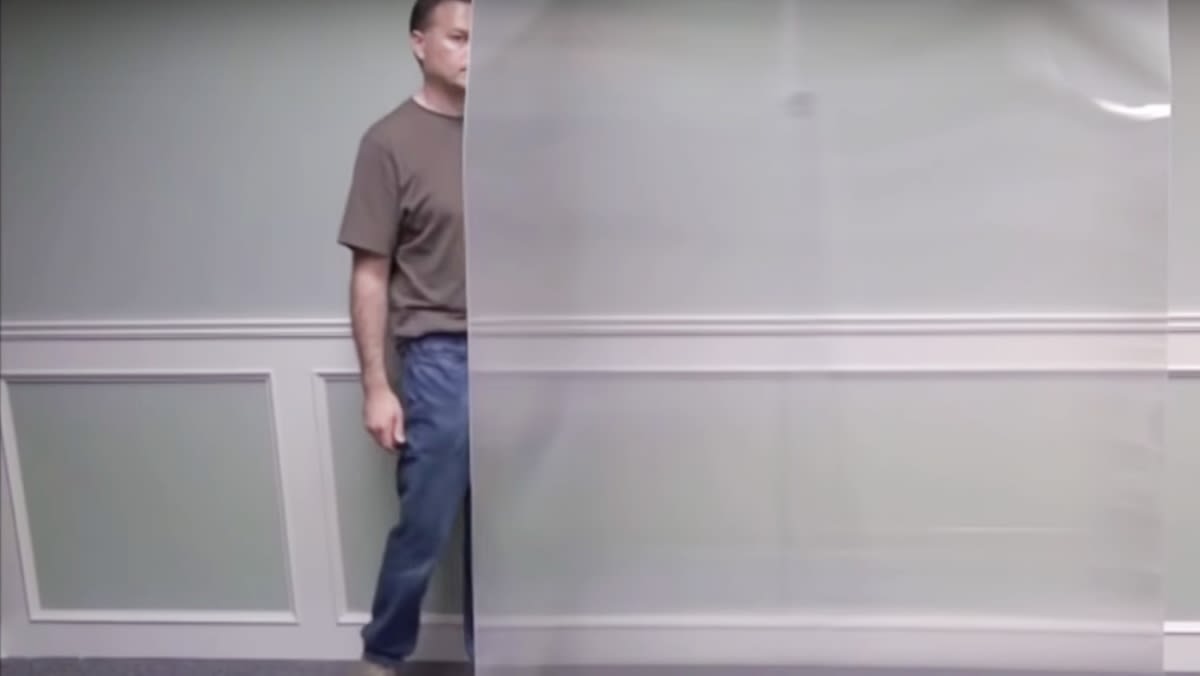 This 'Invisibility Cloak' Actually Works