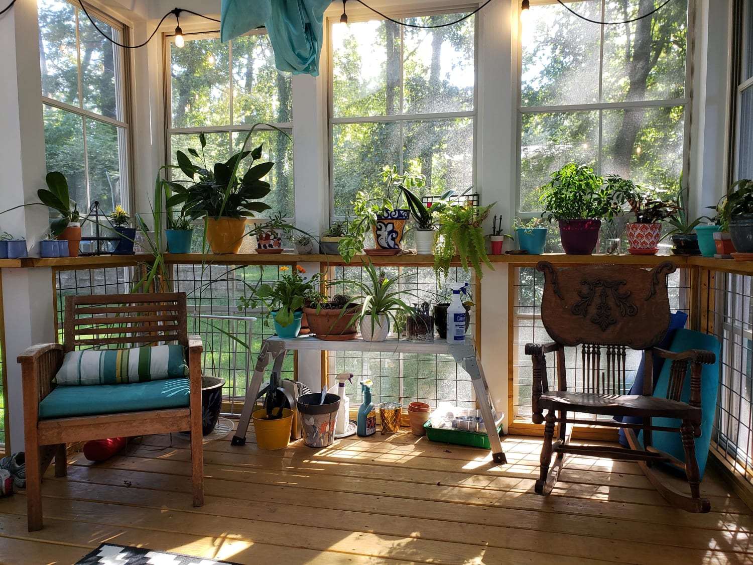 Sunroom on a pretty day -- but I'm always interested in suggestions to make it more cozy since my only idea is plants. Thanks!