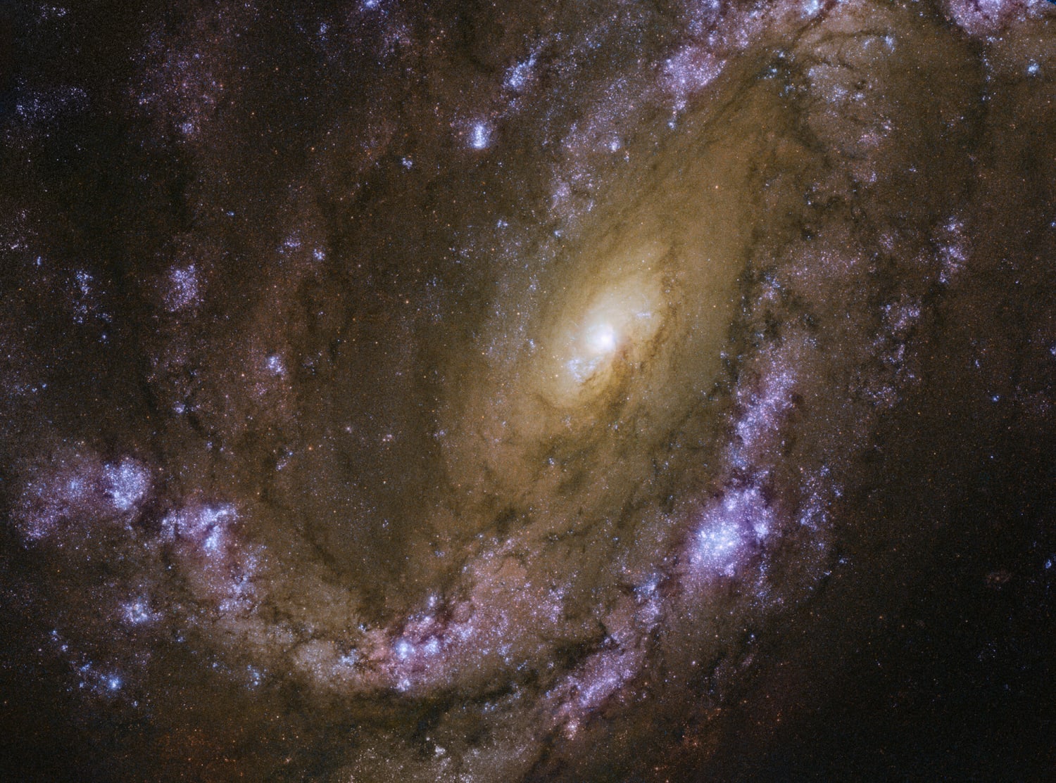Hubble sets sights on an explosive galaxy