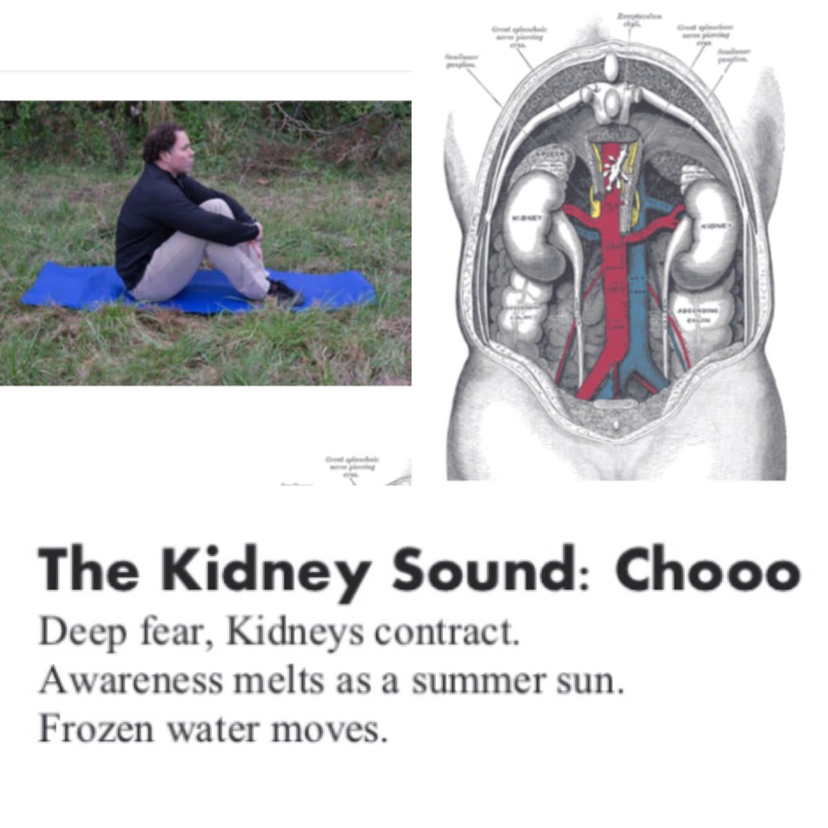 The kidney sound is one of the famous Six Healing Sounds from the Taoist tradition. The sound can be made in a low and guttural manner 3-6 times. In between making the sounds, one can turn awareness inward to the kidneys and express gratitude.