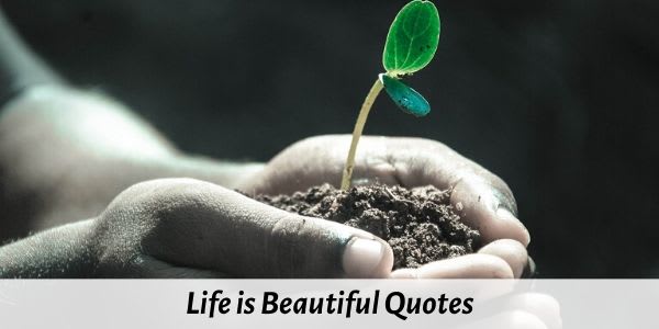 51 Best Life is Beautiful Quotes and Sayings with HD Images