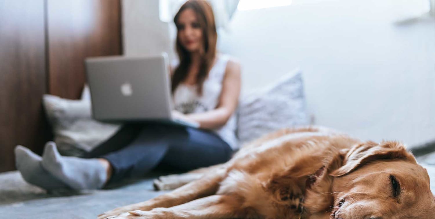 19 Legitimate Work From Home Job Boards You Need To Look At Now