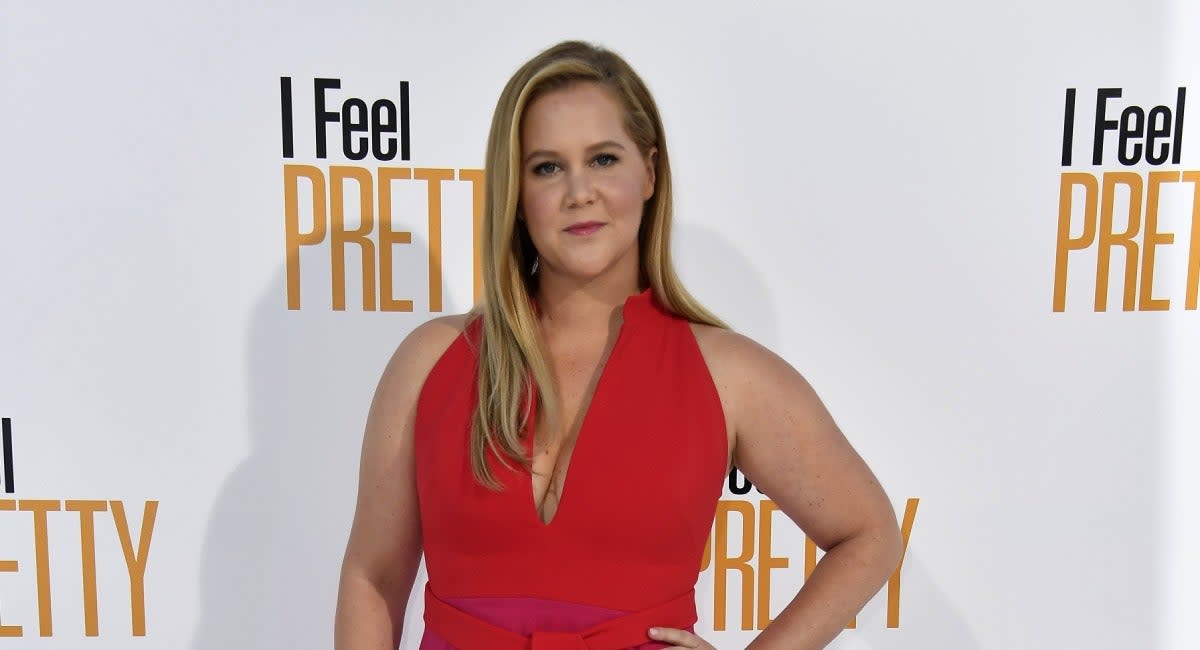 Amy Schumer Had the Perfect Response After Being Parent Shamed for the First Time
