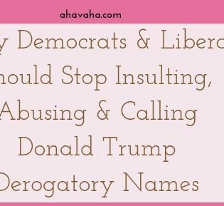 Why Democrats And Liberals Should Stop Insulting, Abusing And Calling Donald Trump Derogatory Names