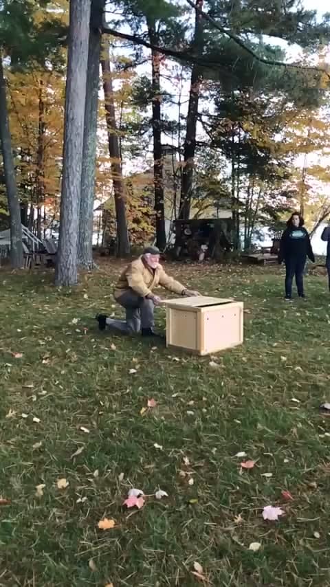Bald Eagle being released back into the wild