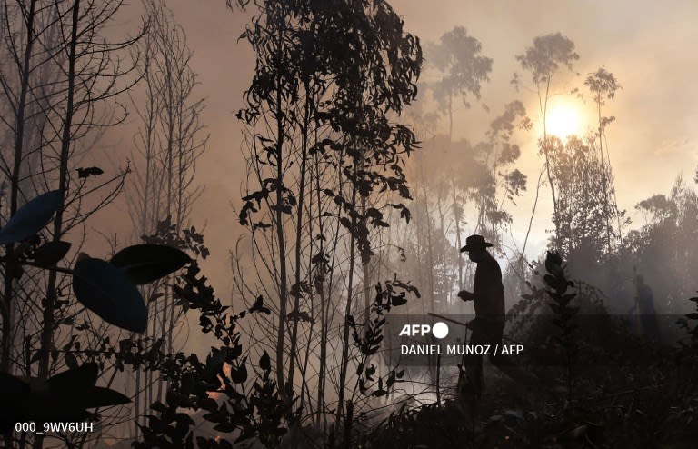 Colombia - A peasant walks near a bushfire in Guatavita, near Bogota. 📸 Daniel Muñoz