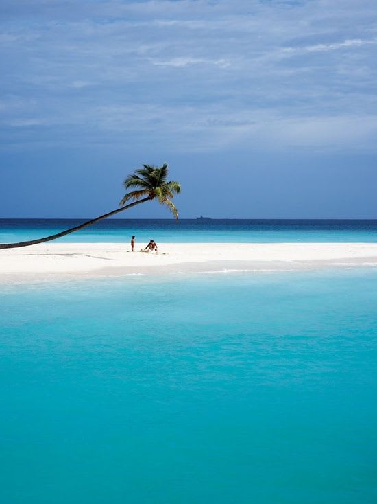 Halaveli, Maldives | Places to visit, Places to travel, Vacation