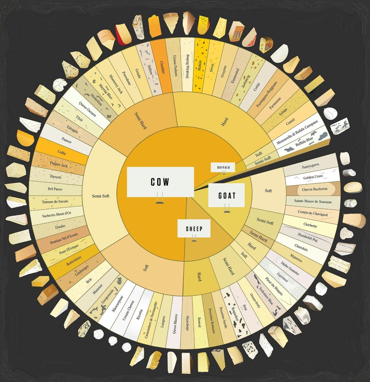 A cool guide for types of cheese and there source