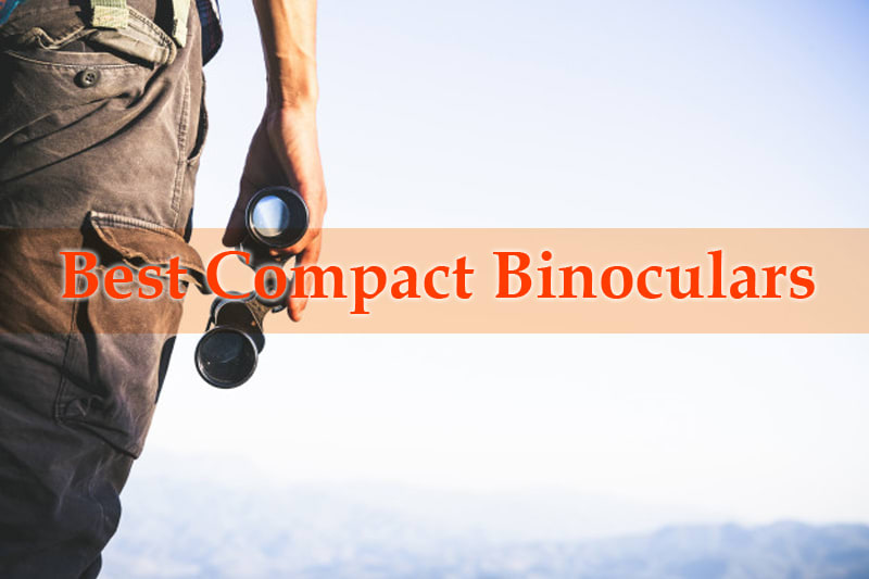 6 Best Compact Binoculars under $100 in 2019 - Reviews & Buying Guide