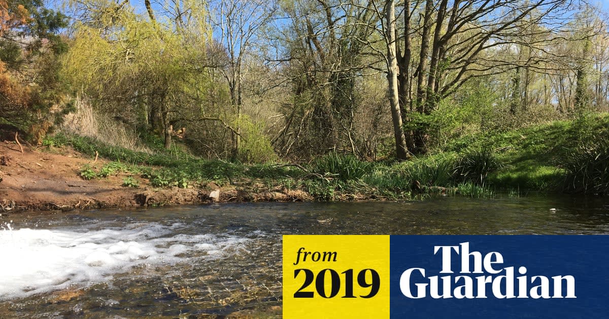 Lost river returns to Somerset 70 years after it dried up