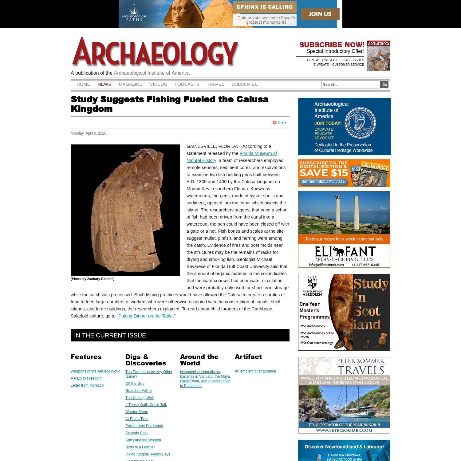 Study Suggests Fishing Fueled the Calusa Kingdom - Archaeology Magazine