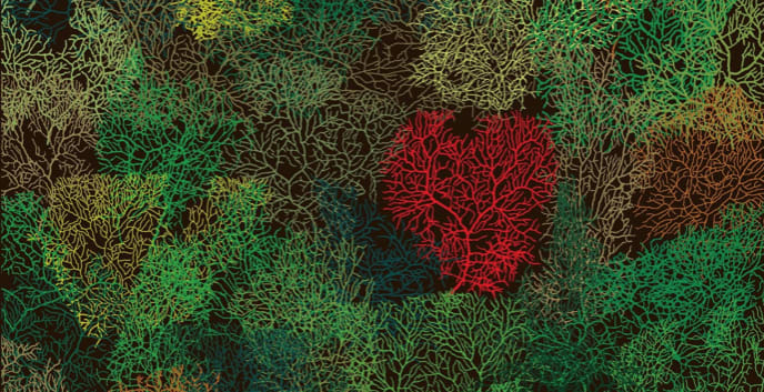 These "trees" are individually traced images of mice’s Purkinje neurons, which play important roles in controlling coordination and movements. From this year's Art of Neuroscience competition. See all the top images here: