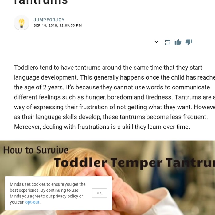 How to Survive Toddler Temper Tantrums