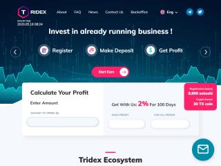 Tridex.io Review: PAYING or SCAM? | Bit-Sites
