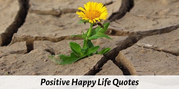 101 Positive Short Happy Life Quotes on Love, Success, Motivation