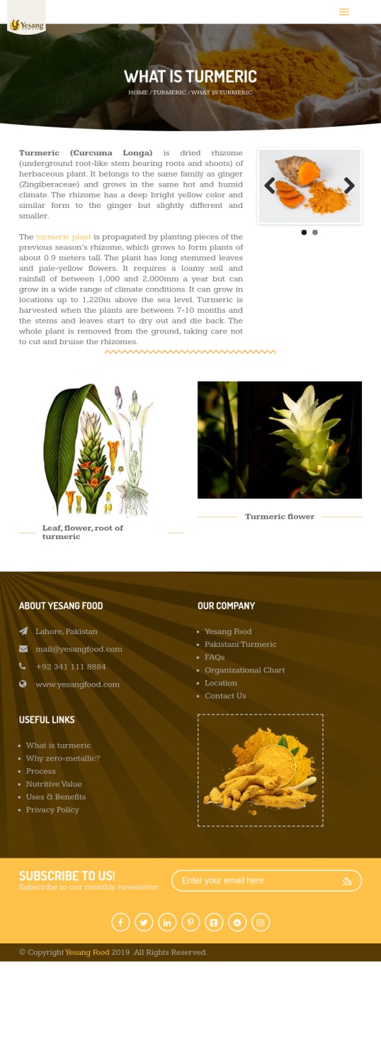 What Is Turmeric? Best Quality Turmeric Powder of Yesang Food Pvt Ltd