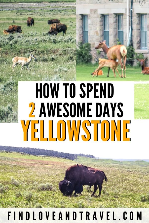 Perfect Yellowstone 2 Day Itinerary