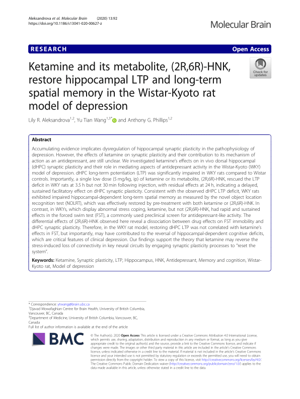 A lack of neural plasticity in the hippocampus has been implicated in the development of depression. Ketamine is able to restore hippocampal plasticity in a rat model of depression, potentially illustrating a mechanism for the drug's anti-depressant effects