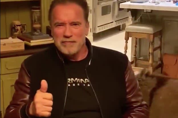 Arnold Schwarzenegger Made An Incredible Coronavirus PSA With His Mini Donkey And Mini Horse