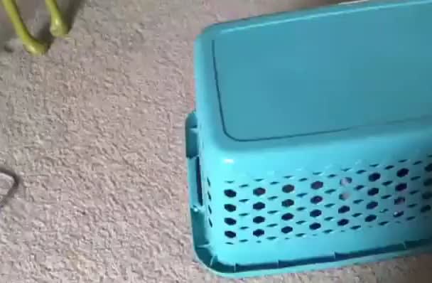 Self-loading laundry basket