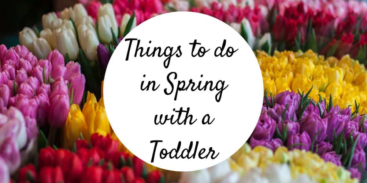 Things to do in Spring with a Toddler