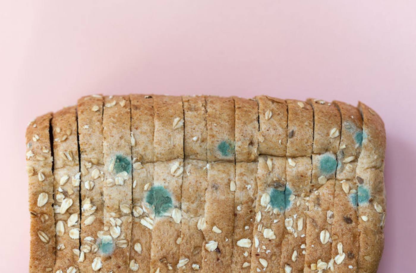 Here’s What’s *Actually* Going to Happen to You if You Accidentally Eat a Bite of Moldy Bread